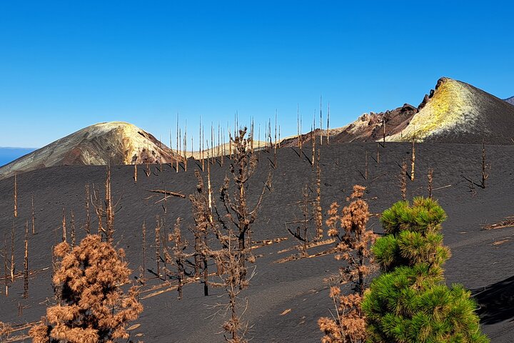 Rota Caminhada Visita ao Novo Vulcão de La Palma