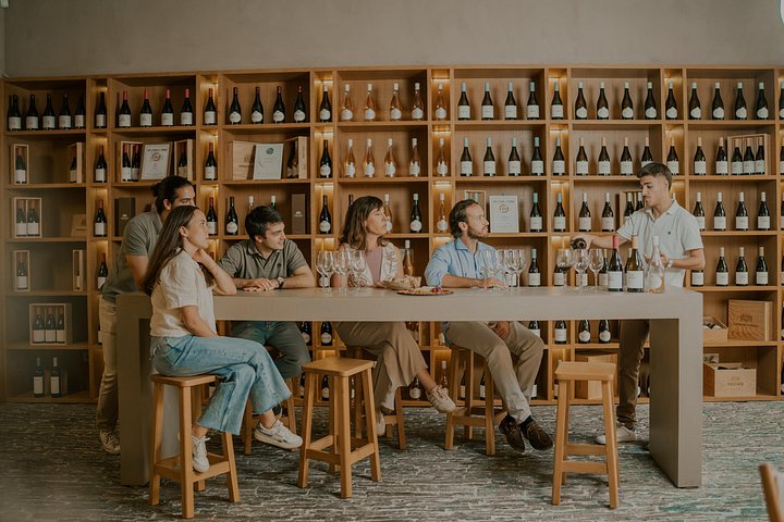 1 Day Wine Tour Around Évora