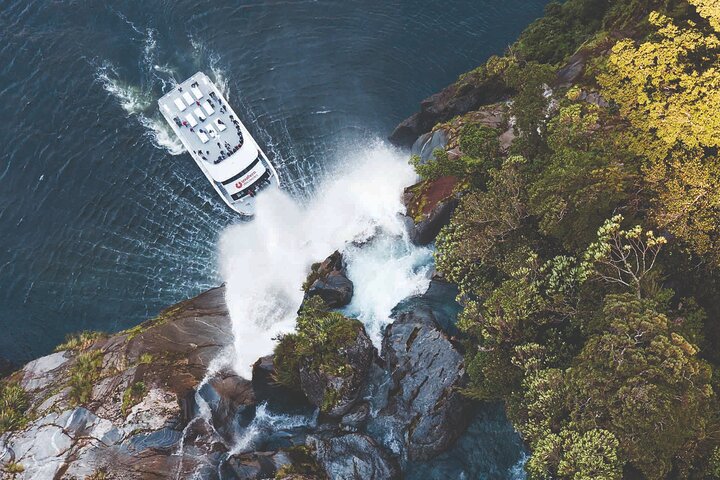 Fra Te Anau: Milford Sound Cruise og glass-tak busstur