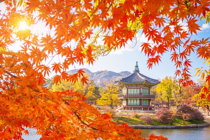 Flexible Private Guided Tour in Seoul (Optional Layover)