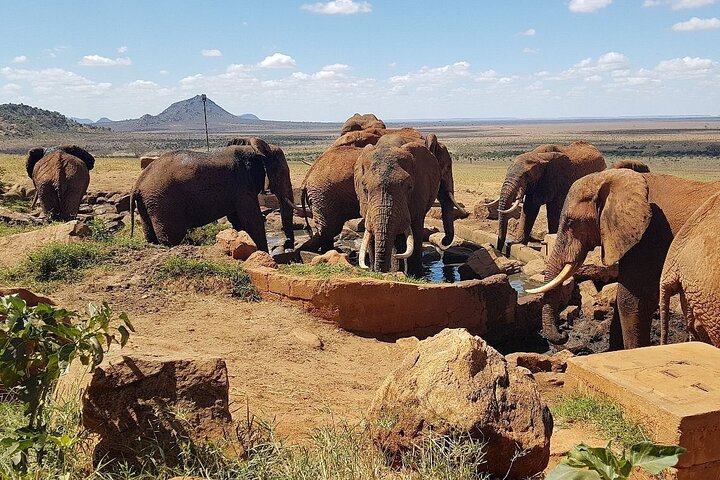 2 giorni 1 notte Safari privato dello Tsavo Est dalla spiaggia di Diani
