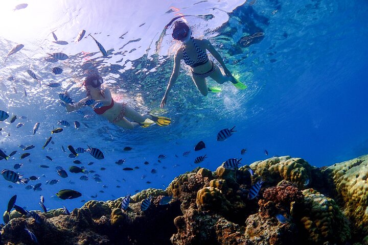 Tour delle isole Semporna con snorkeling o esperienza subacquea