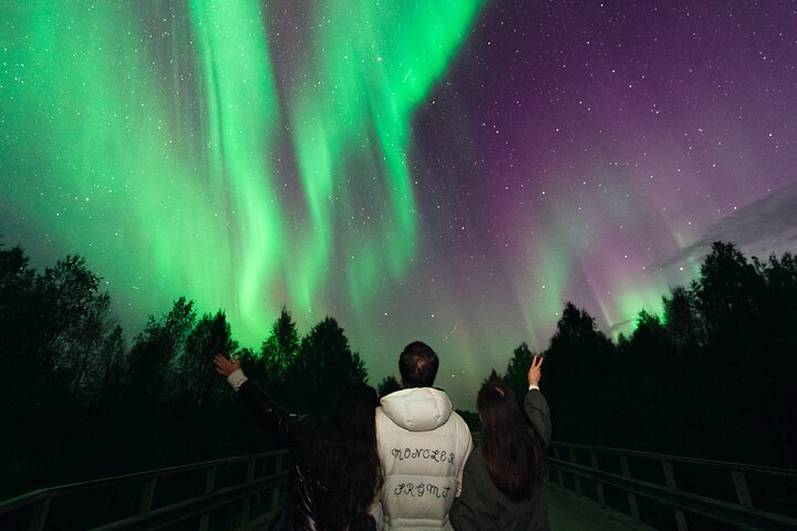 Rovaniemi : Norrskensjakt Max 8 + Proffs foton och 100% återbetalning