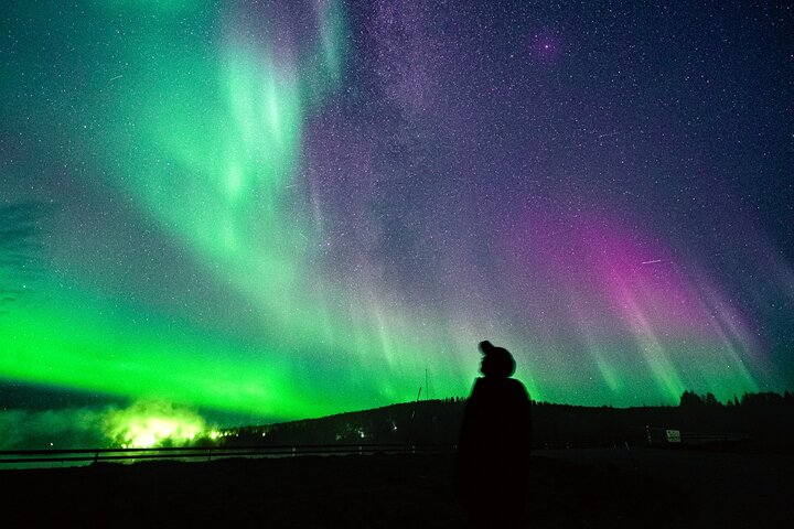 Rovaniemi : Northern Lights Hunt + Foto's & 100% garantie restitutie