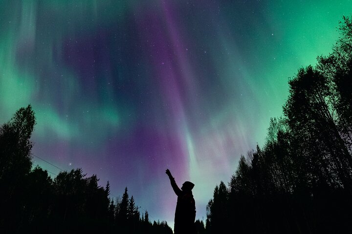 Rovaniemi : Northern Lights Hunt + Foto's & 100% garantie restitutie
