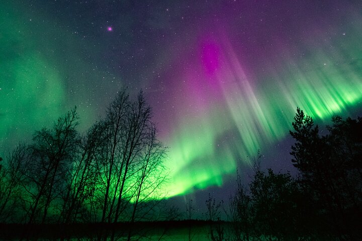 Rovaniemi : Northern Lights Hunt + Foto's & 100% garantie restitutie