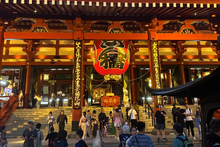 Scalo a Tokyo: Tour Privato di 5 Ore con Prelevamento Aeroportuale