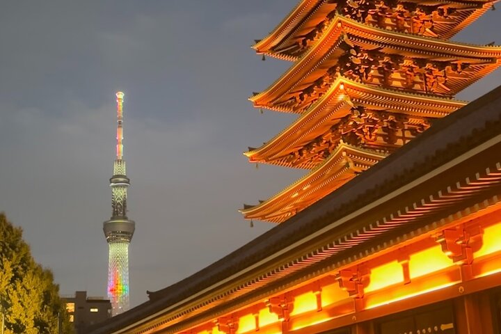 Scalo a Tokyo: Tour Privato di 5 Ore con Prelevamento Aeroportuale