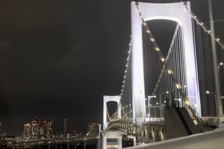 Scalo a Tokyo: Tour Privato di 5 Ore con Prelevamento Aeroportuale