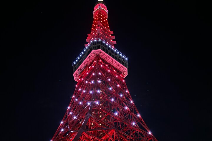 Scalo a Tokyo: Tour Privato di 5 Ore con Prelevamento Aeroportuale