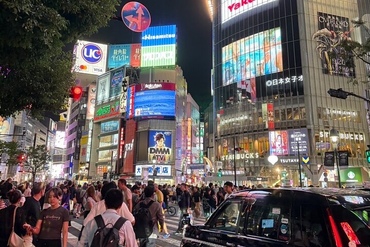 Scalo a Tokyo: Tour Privato di 5 Ore con Prelevamento Aeroportuale