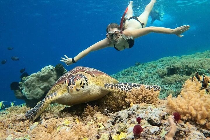 Gili Air: Snorkling 3 Gili Islands med GoPro-kamera
