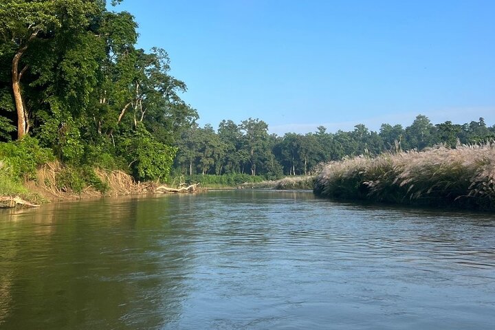 2Nacht 3Tage Chitwan Jungle Tower Nachtaufenthalt und CNP Nepal Safari