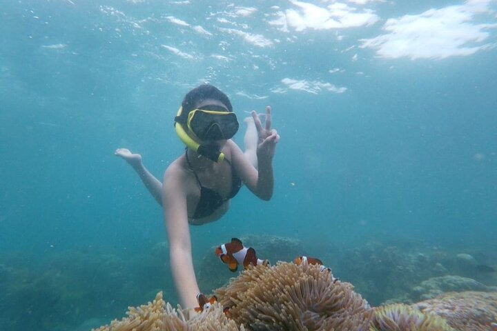 Bintan Island Snorkeling, kayak et pêche amusante Activité