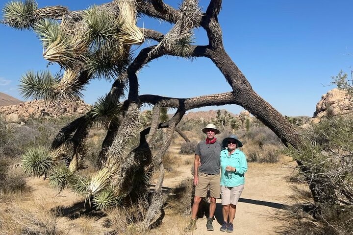 Excursión privada de aventura al Parque Nacional Joshua Tree
