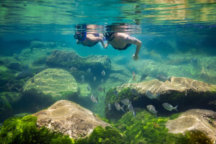 Tulum begeleide tour, magische Cenote, lagune snorkelen en lunch aan het strand