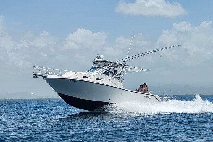 Privat All Inclusive East Coast Keys Tour og snorkelopplevelse