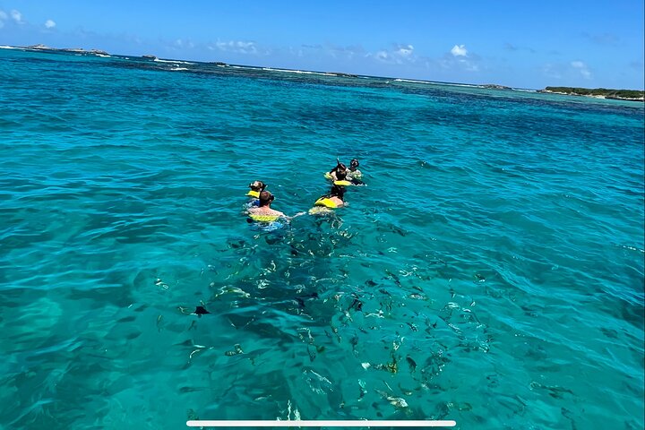 Privat All Inclusive East Coast Keys Tour og snorkelopplevelse