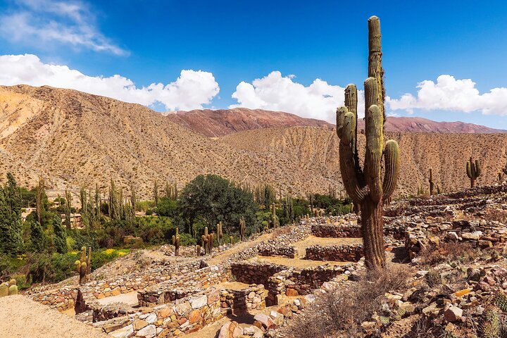 4 giorni 4 destinazioni nel nord dell'Argentina