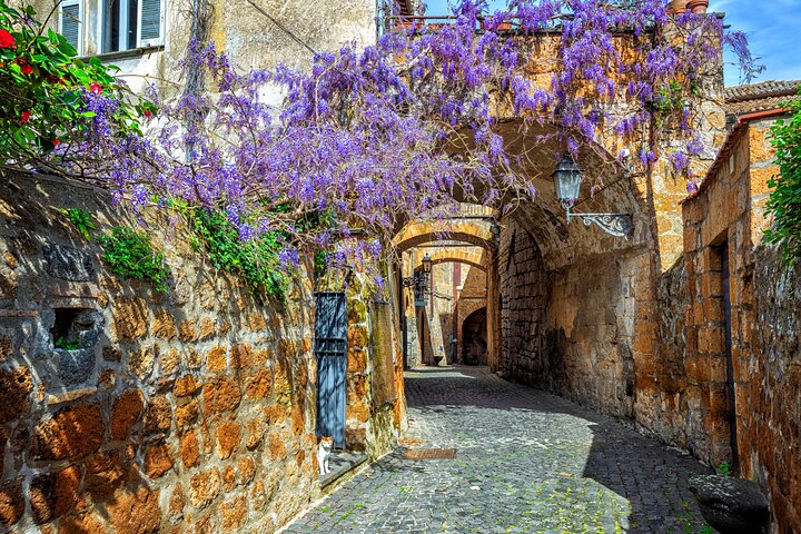 Orvieto og Civita di Bagnoregio fra Civitavecchia - Privat tur