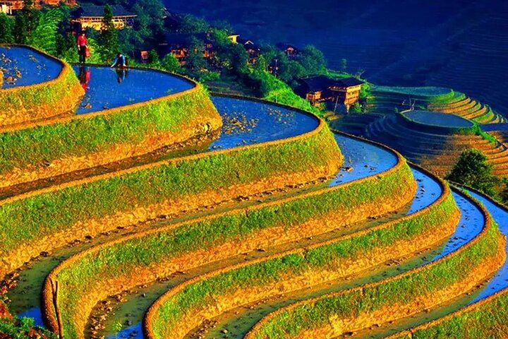 Grupos pequeños: recorrido por las terrazas de arroz de Longji y las aldeas de minorías