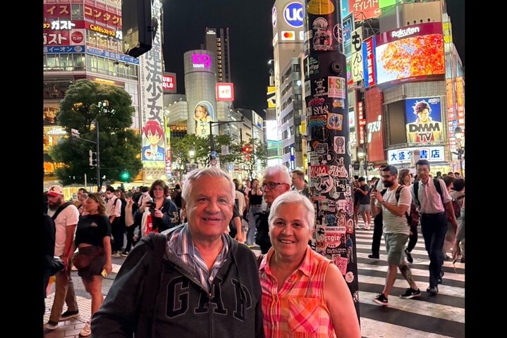 Scalo a Tokyo: Tour Privato di 5 Ore con Prelevamento Aeroportuale