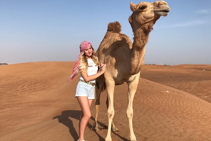 Dubai Vormittag 4 Stunden Safari Sharing Jeep Sand Boarding & Camle Ride