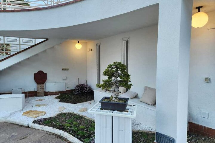 Dyk ned i en Bonsai Retreat og udforsk Calabriens naturlige skønhed
