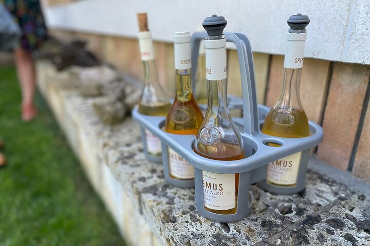 Aszú Like It: The Sweetest Tour in Tokaj