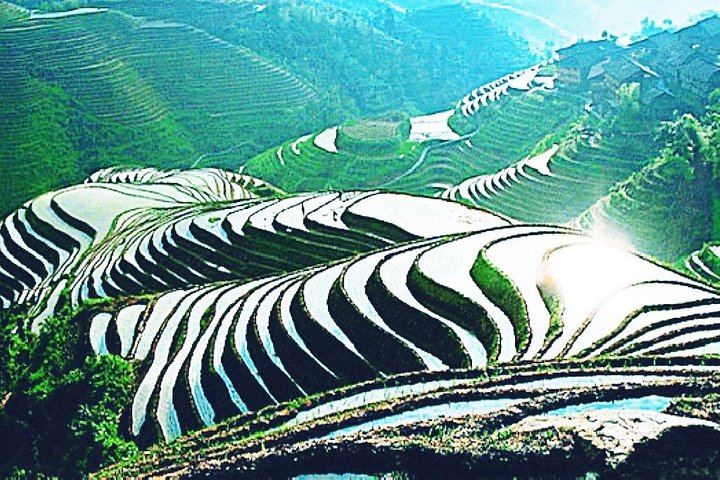 Grupos pequeños: recorrido por las terrazas de arroz de Longji y las aldeas de minorías