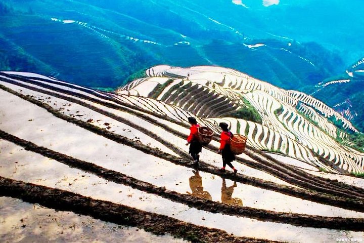 Grupos pequeños: recorrido por las terrazas de arroz de Longji y las aldeas de minorías