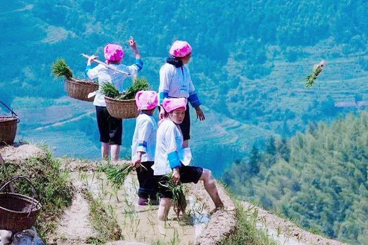 Grupos pequeños: recorrido por las terrazas de arroz de Longji y las aldeas de minorías