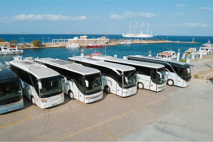 Excursión por la costa de Mykonos con recogida en la terminal de cruceros