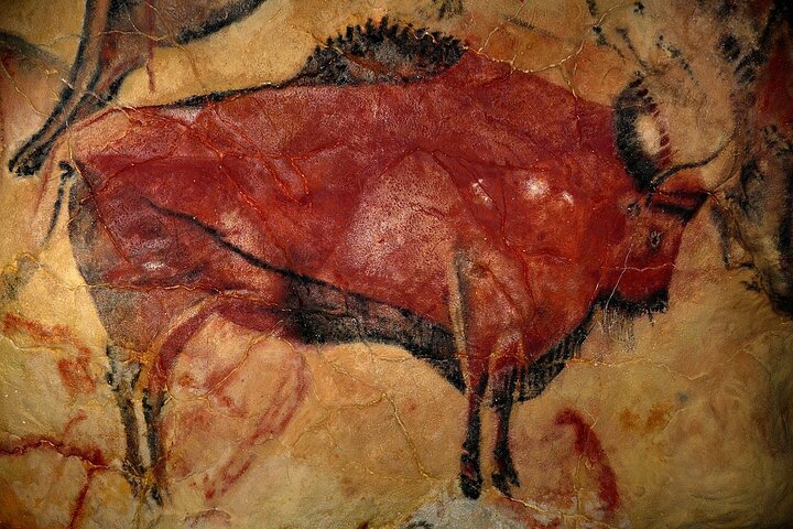 Privater Rundgang zum Altamira-Museum und zur Neocueva