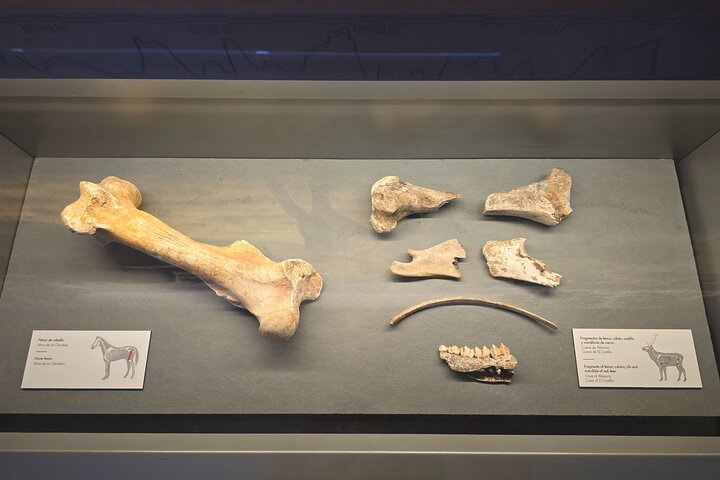 Privater Rundgang zum Altamira-Museum und zur Neocueva
