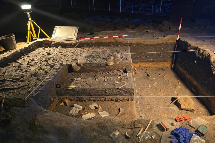 Privater Rundgang zum Altamira-Museum und zur Neocueva