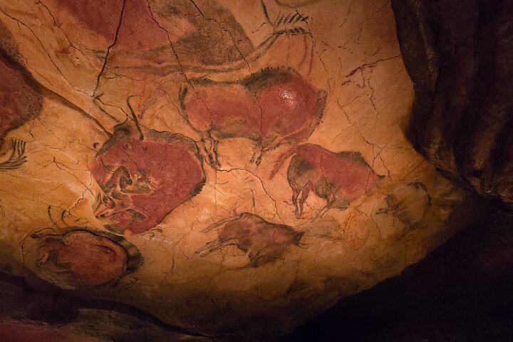 Privater Rundgang zum Altamira-Museum und zur Neocueva