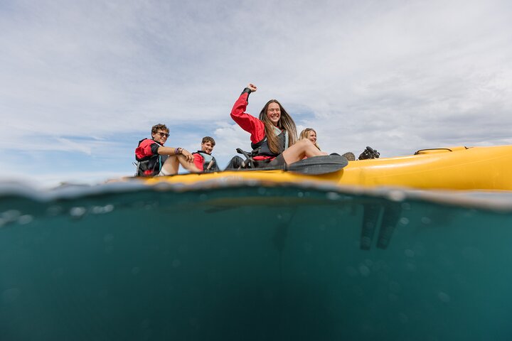 Aventura en kayak con focas en Kaikoura