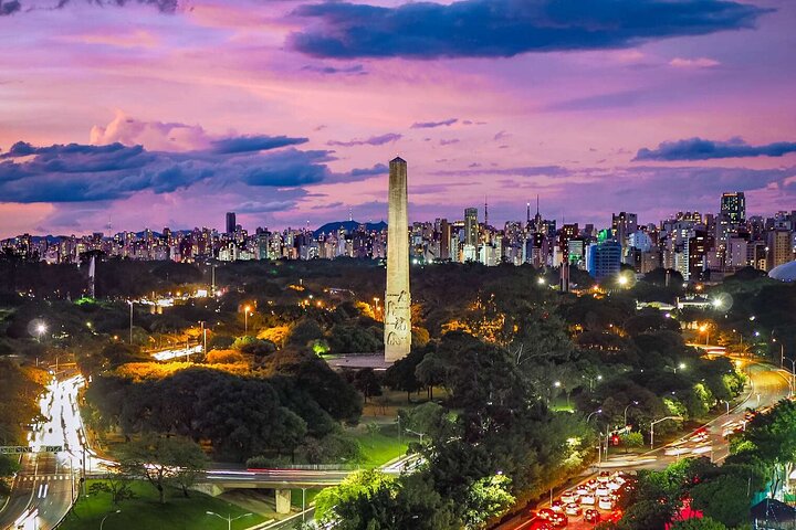 São Paulo : GRU Flughafen Privater Transfer zum/vom Stadtzentrum