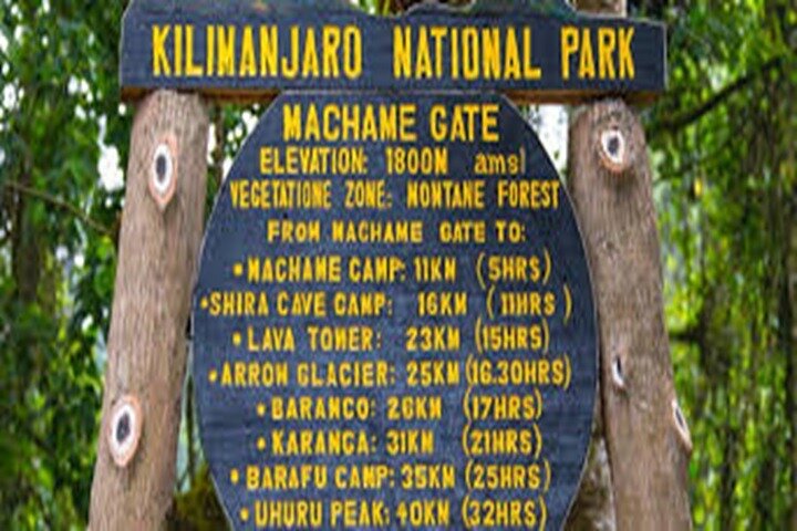 La mejor caminata de 1 día por el Kilimanjaro Machame con Kilinge Adventure
