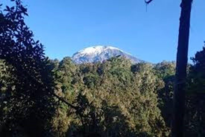 Miglior tour di un giorno escursionistico del Kilimangiaro Da Arusha / Moshi