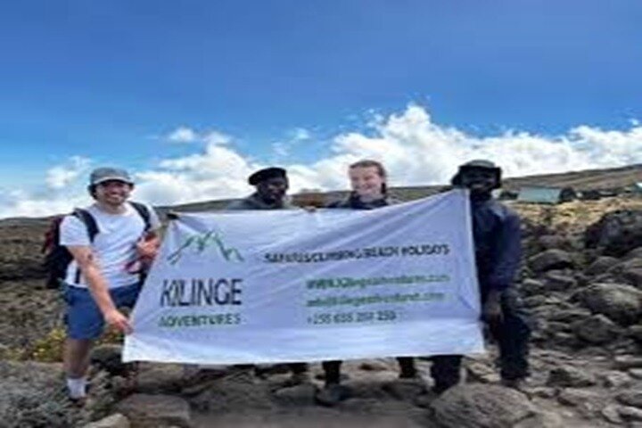 Miglior tour di un giorno escursionistico del Kilimangiaro Da Arusha / Moshi
