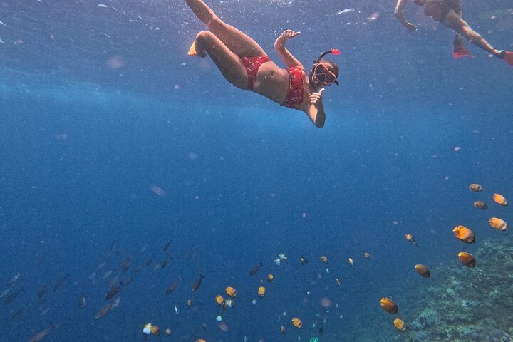 All Inclusive: Schnorcheln in der Blauen Lagune von Bali, Mittagessen und Transport