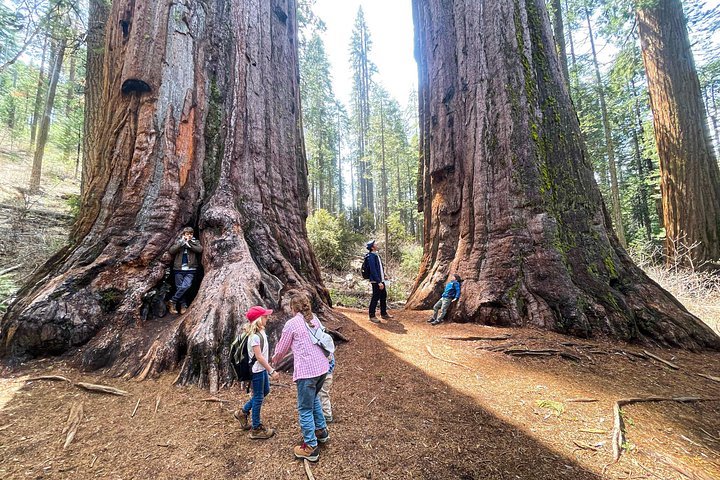 Mágico de Yosemite: Highlights, Sunset e S'mores