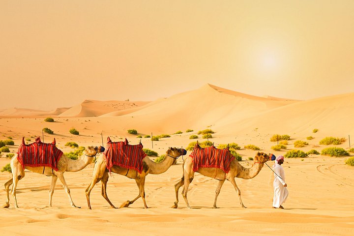 Half-Day Desert Safari from Abu Dhabi
