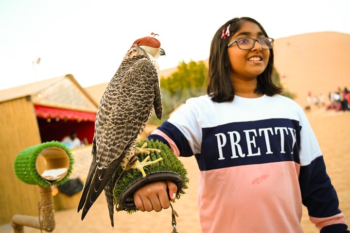 Half-Day Desert Safari from Abu Dhabi