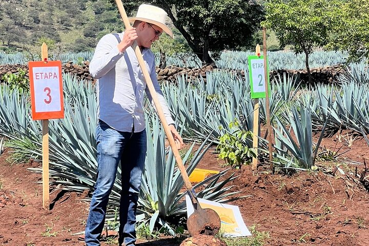 Klassieke tequilatour vanuit Guadalajara en uitgebreide cantaritos bij El Güero!