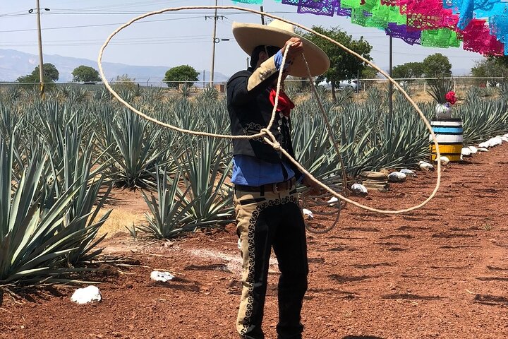 Klassieke tequilatour vanuit Guadalajara en uitgebreide cantaritos bij El Güero!