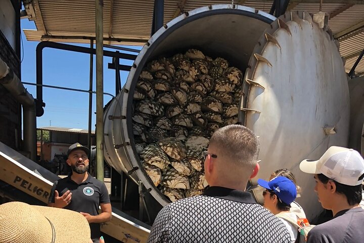 Klassieke tequilatour vanuit Guadalajara en uitgebreide cantaritos bij El Güero!