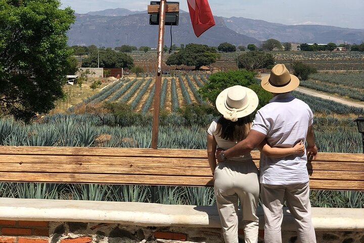 Klassieke tequilatour vanuit Guadalajara en uitgebreide cantaritos bij El Güero!